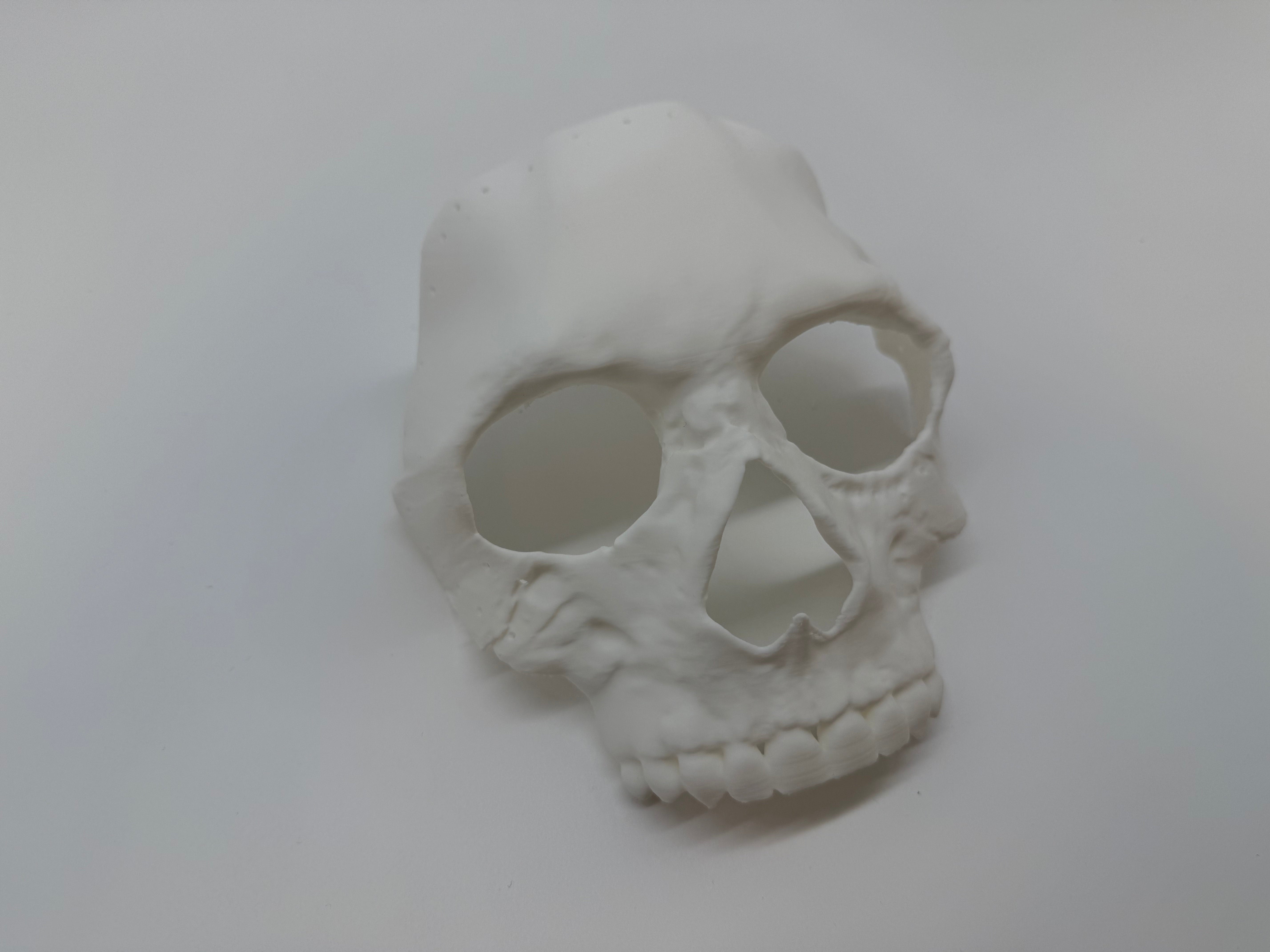 Skull Mask – Realistic and Detailed CoD MWII - Premium Quality